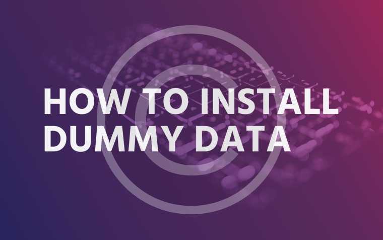 How to install dummy data